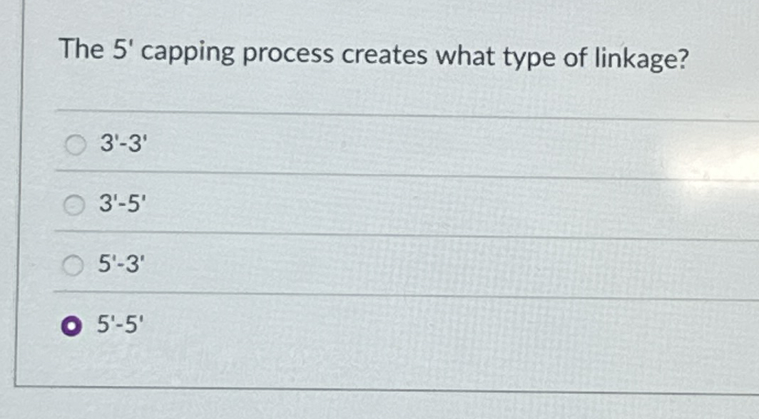 The 5 ' capping process creates what type of