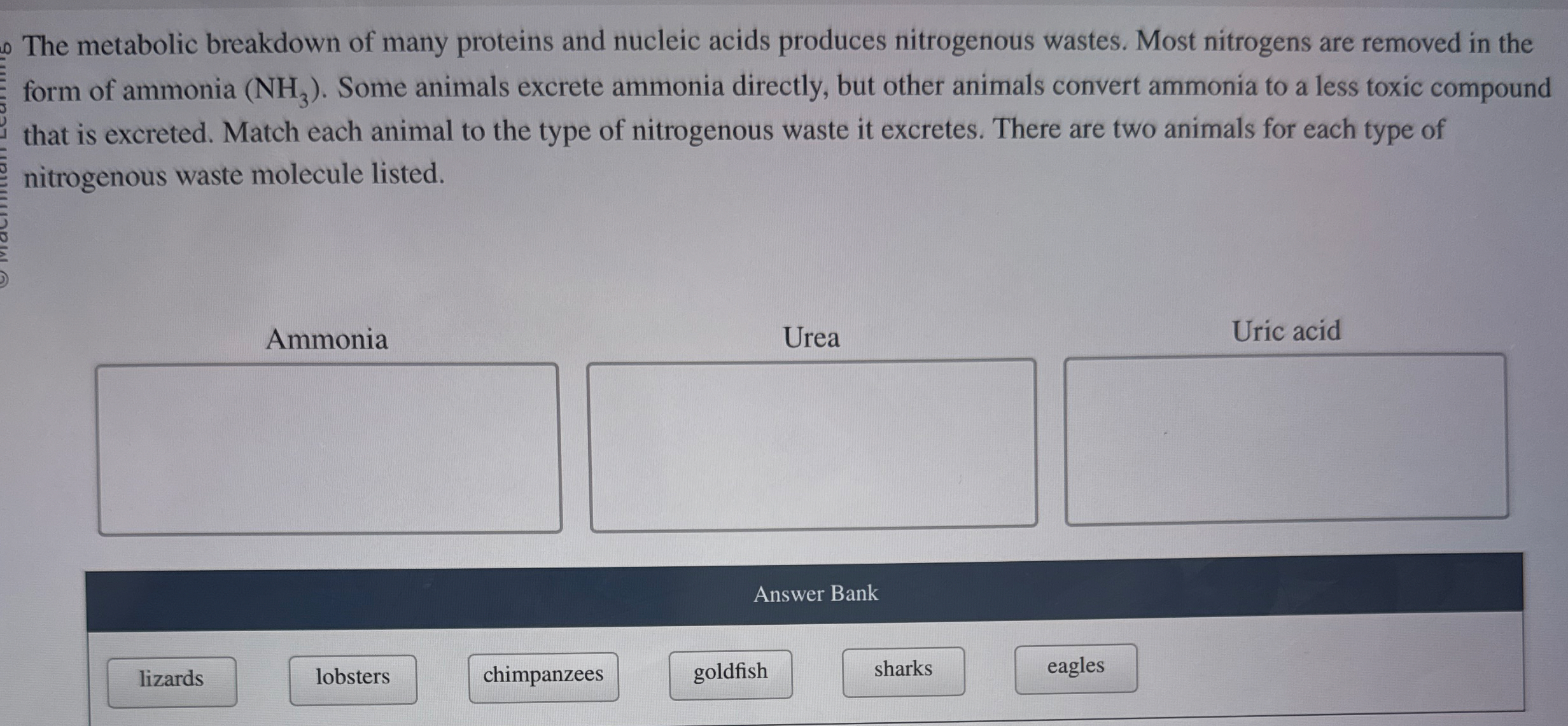 The metabolic breakdown of many proteins and