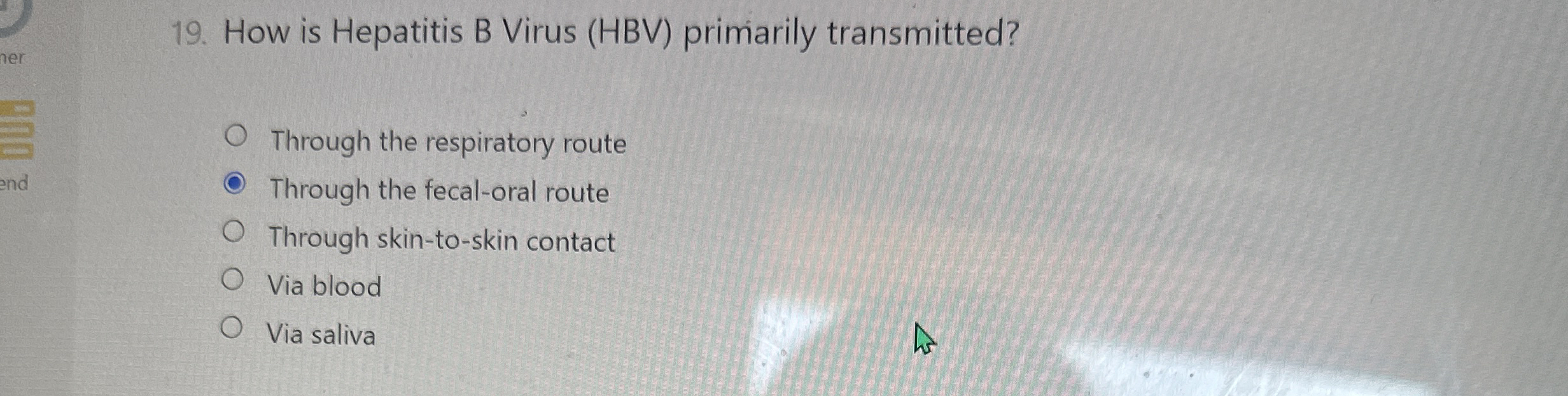 How is Hepatitis B Virus ( HBV ) primarily