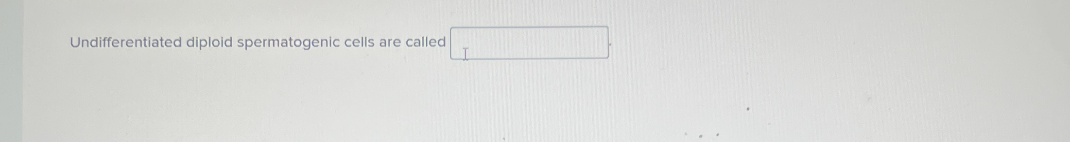 Undifferentiated diploid spermatogenic cells are