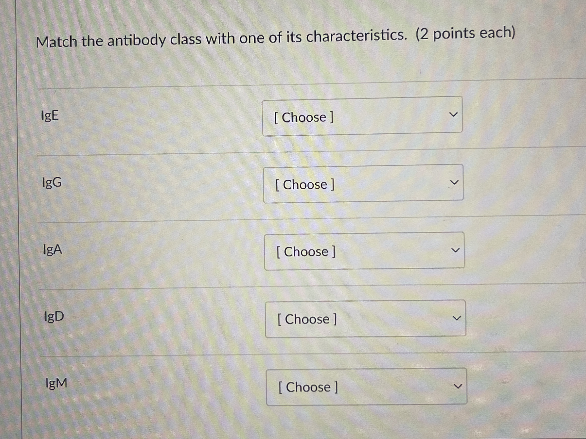Match the antibody class with one of its