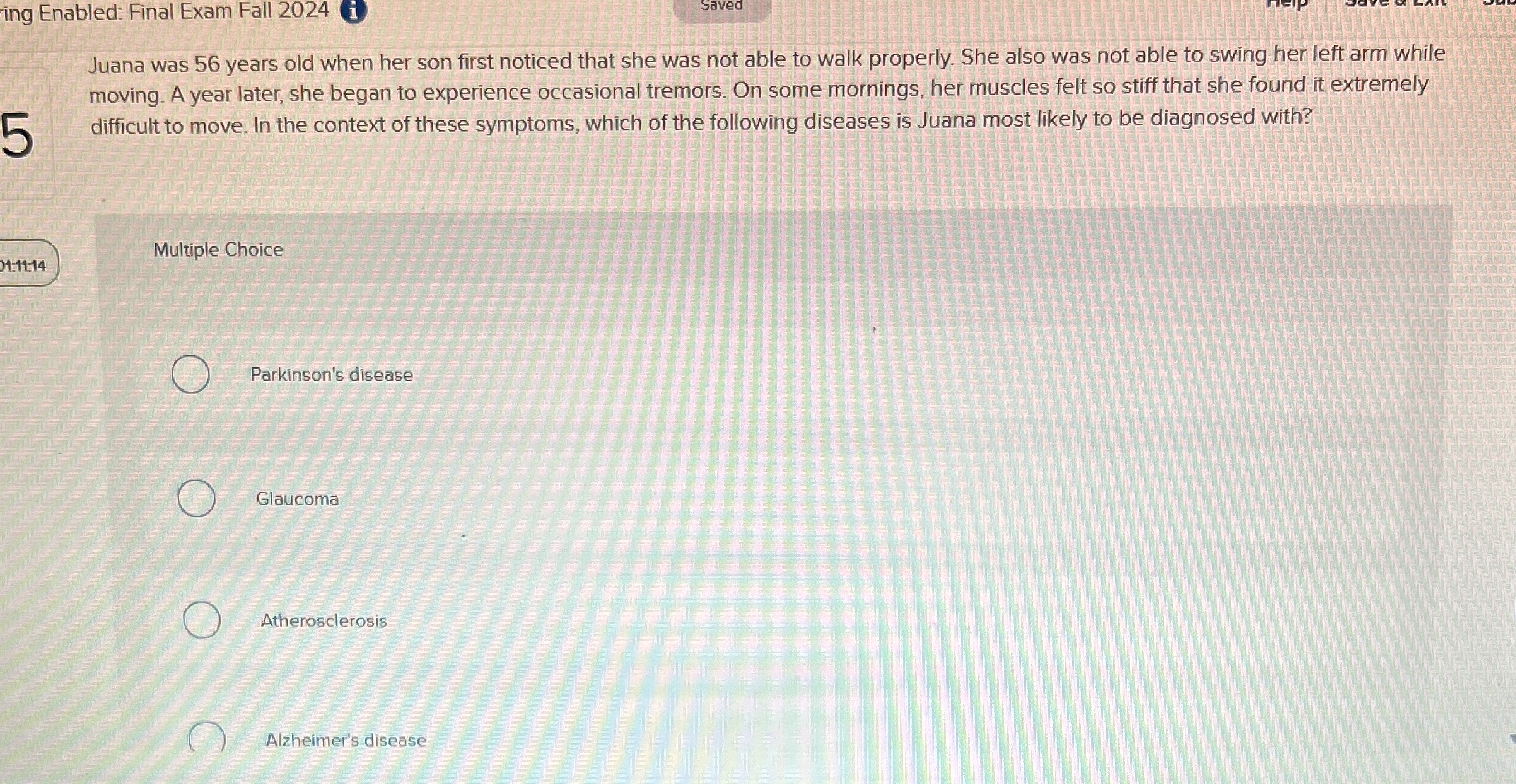ing Enabled: Final Exam Fall 2 0 2 4 Saved Juana