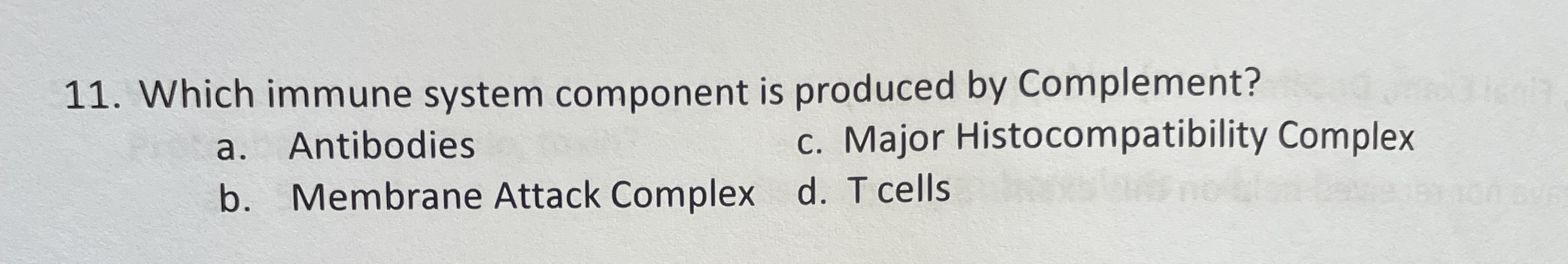 Which immune system component is produced by