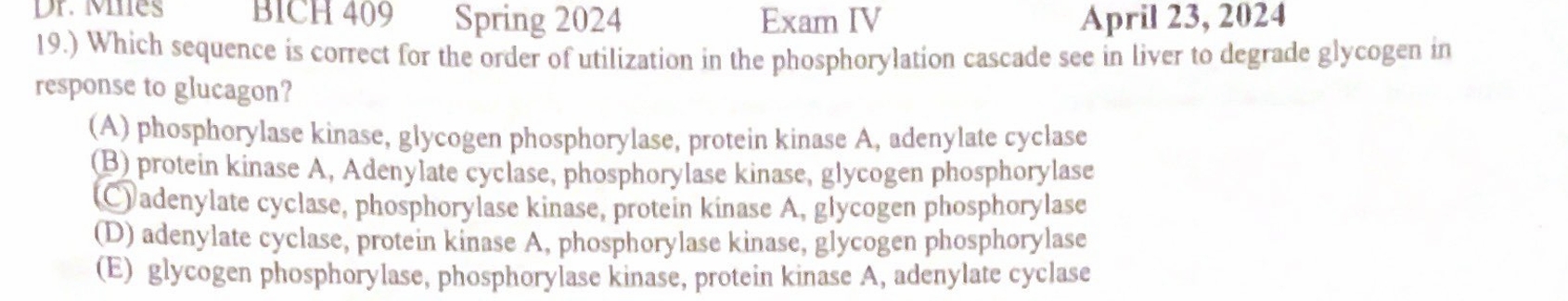 1 9 . ) Which sequence is correct for the order