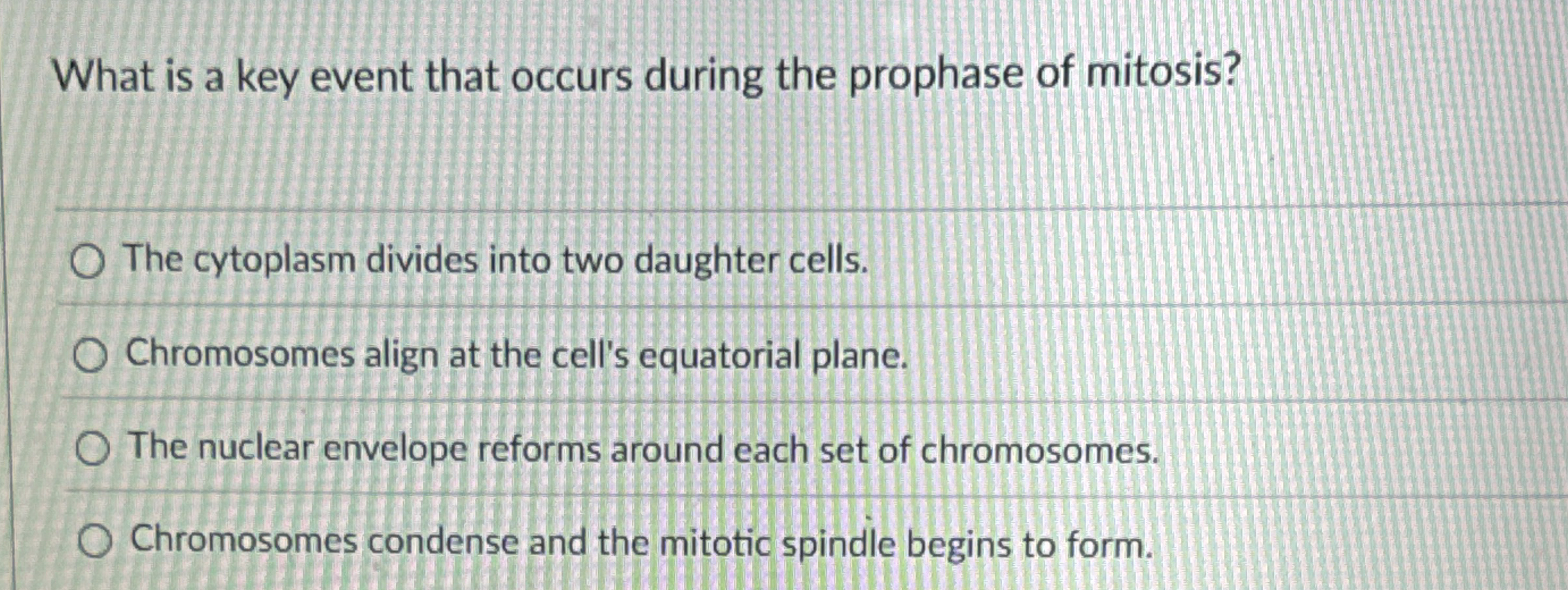 What is a key event that occurs during the