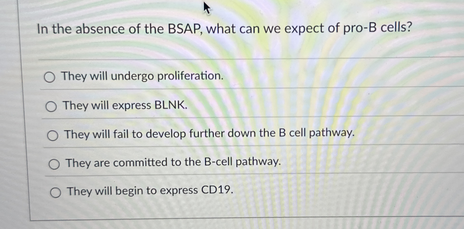 In the absence of the BSAP, what can we expect of