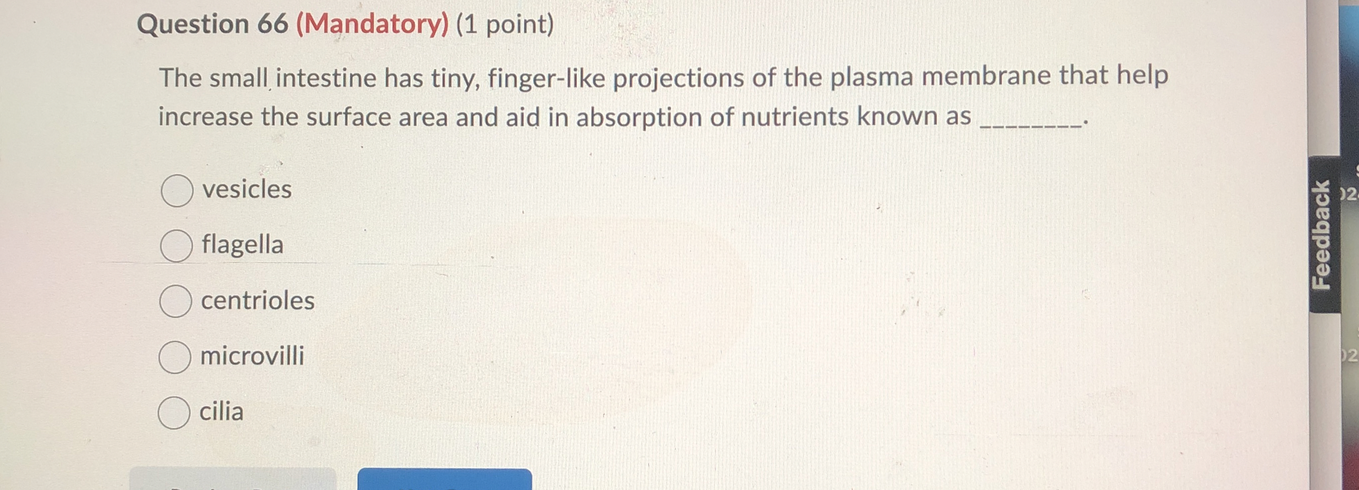 Question 6 6 ( Mandatory ) ( 1 point ) The small