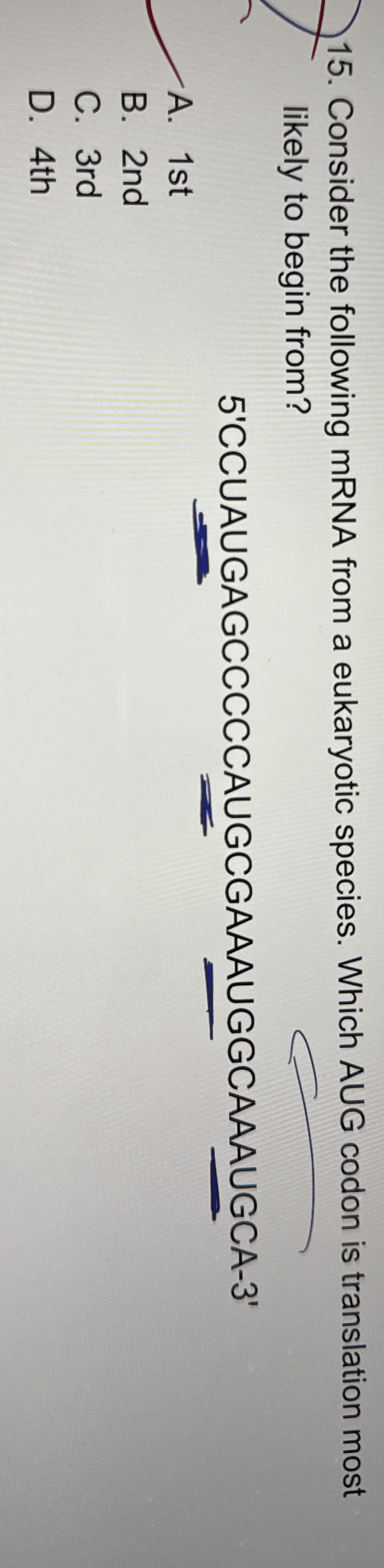 Consider the following mRNA from a eukaryotic
