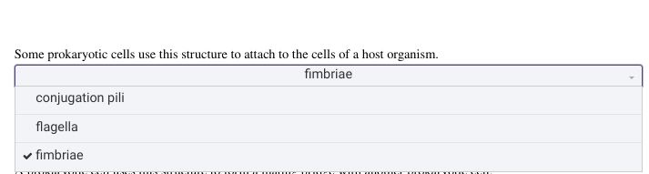 Some prokaryotic cells use this structure to
