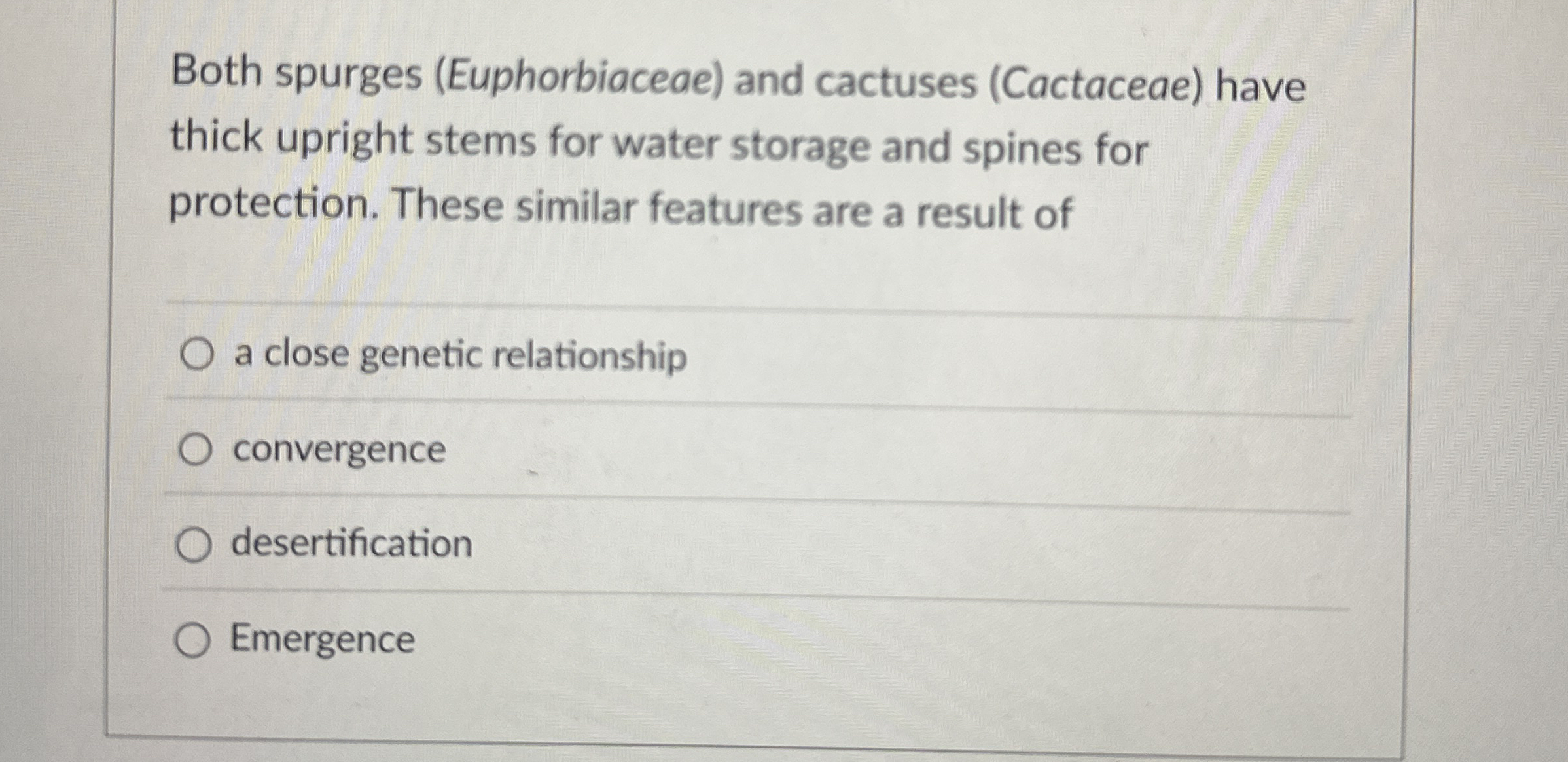 Both spurges ( Euphorbiaceae ) and cactuses (