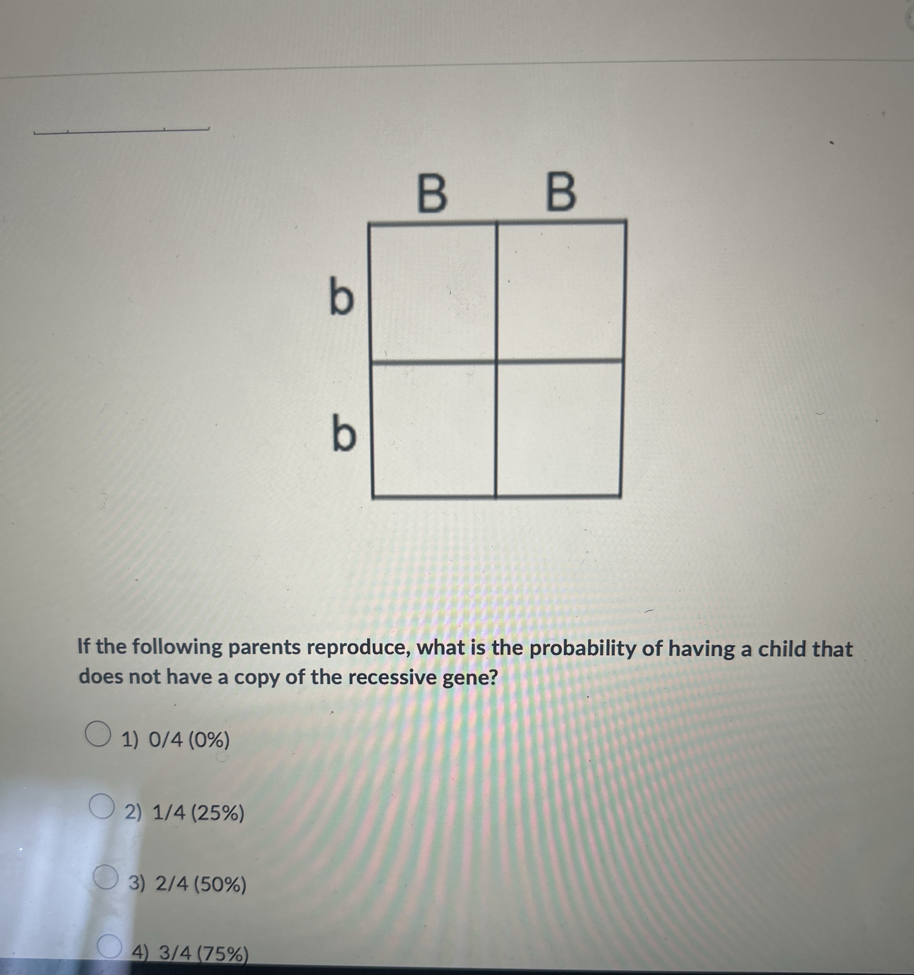 Which stage of mitosis characterized by the