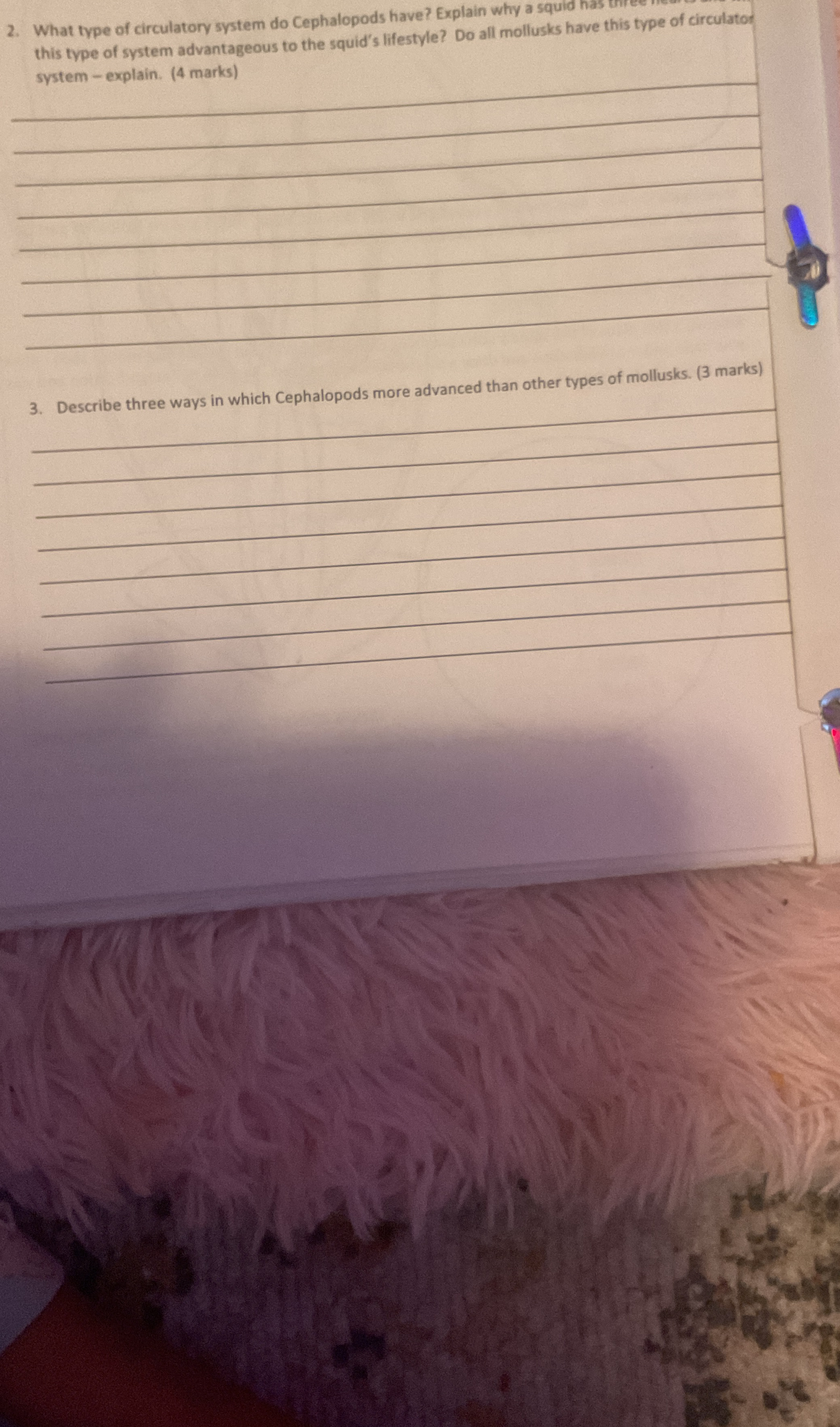 What type of circulatory system do Cephalopods