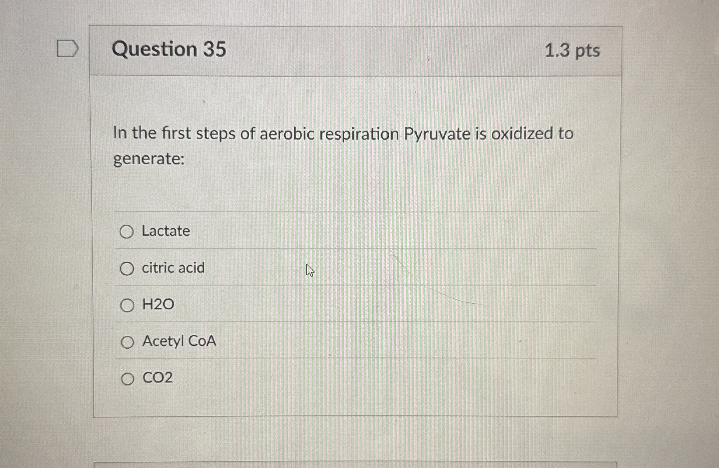 Question 3 5 1 . 3 pts In the first steps of