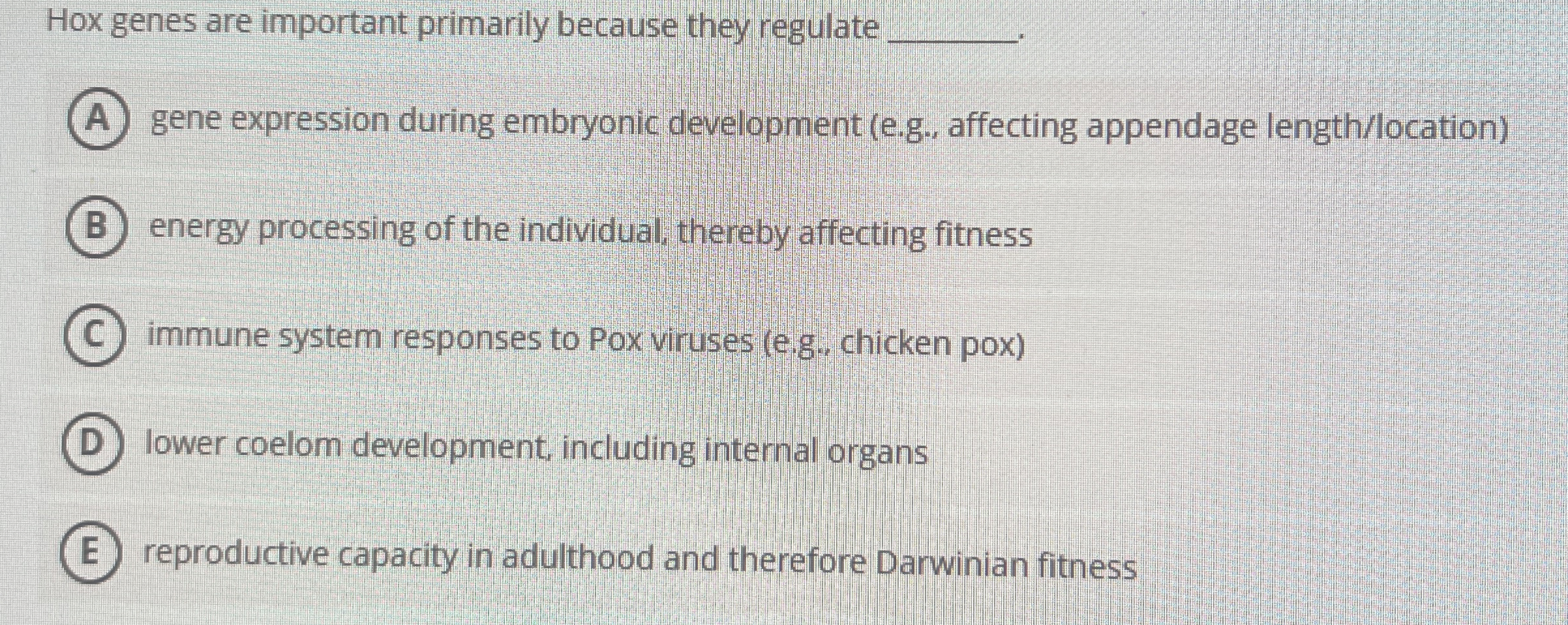 Hox genes are important primarily because they