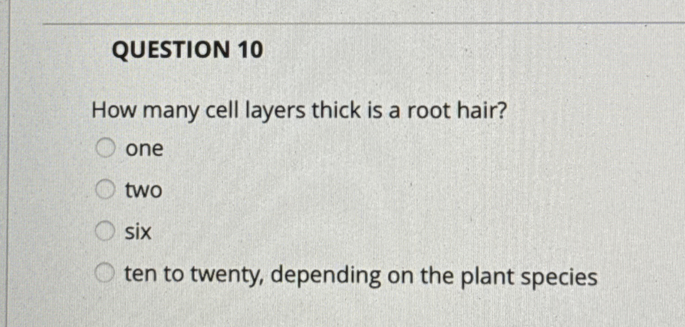 QUESTION 1 0 How many cell layers thick is a root
