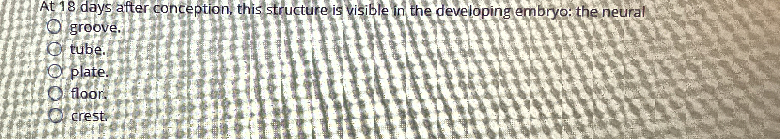 At 1 8 days after conception, this structure is