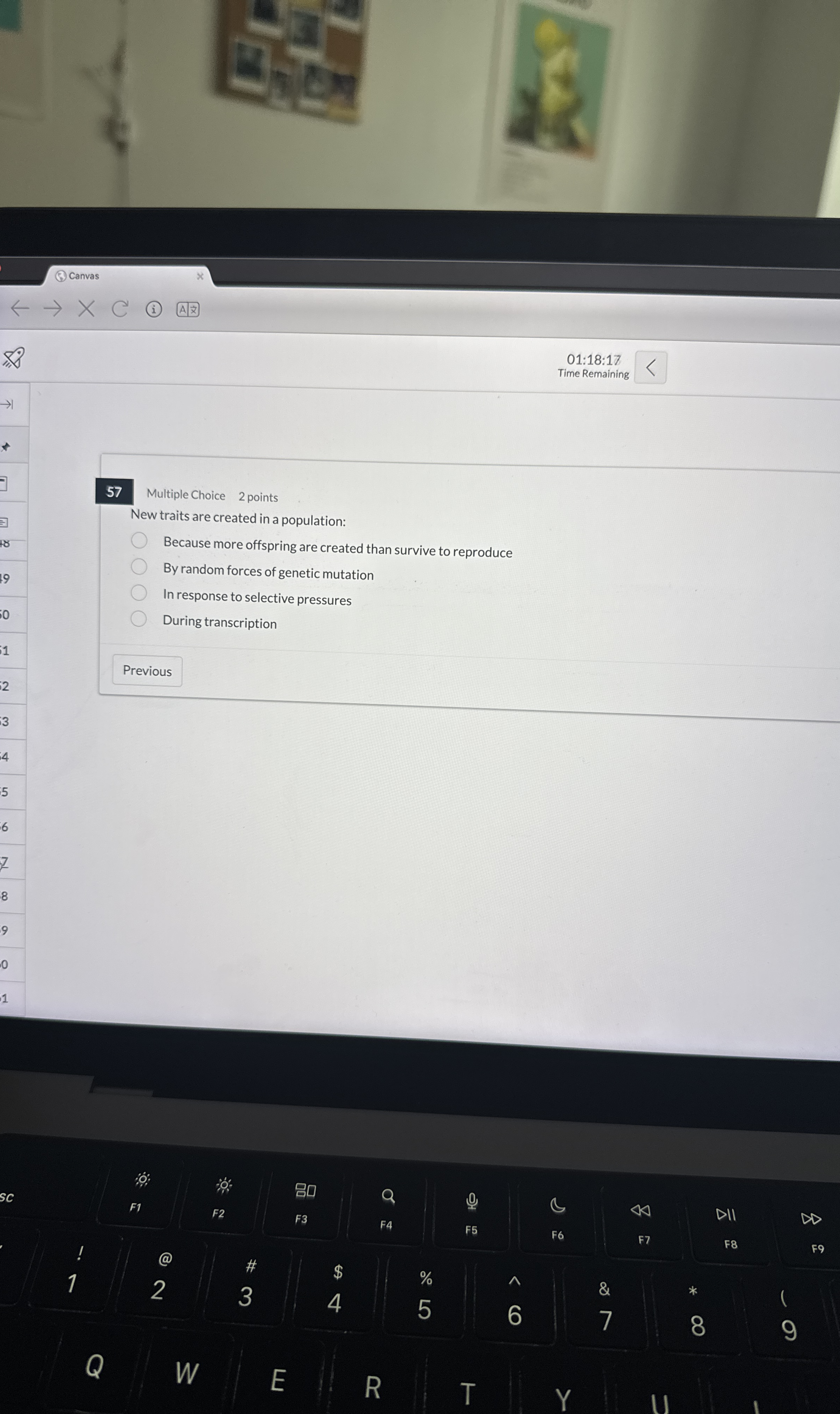 ( 3 ) Canvas 0 1 : 1 8 : 1 7 Time Remaining 5 7