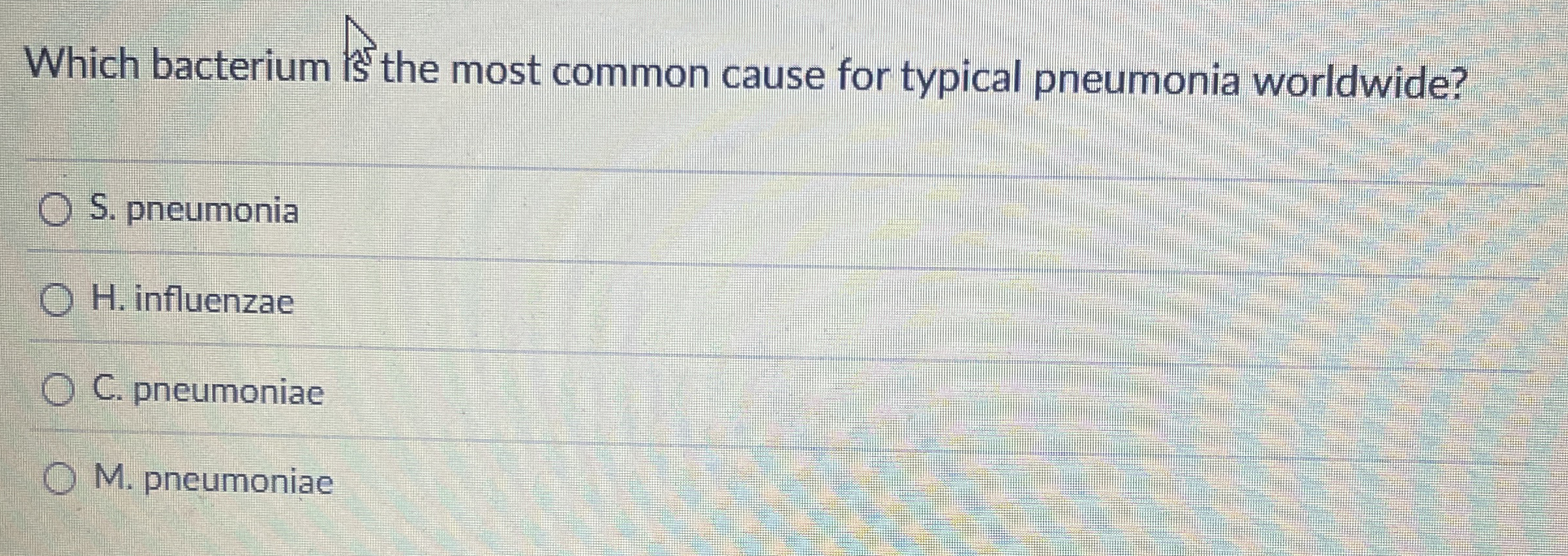 Which bacterium is the most common cause for