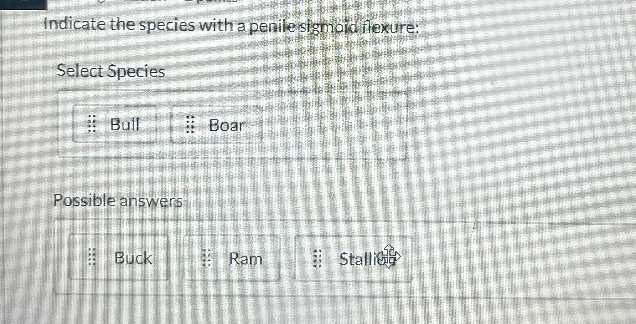 Indicate the species with a penile sigmoid