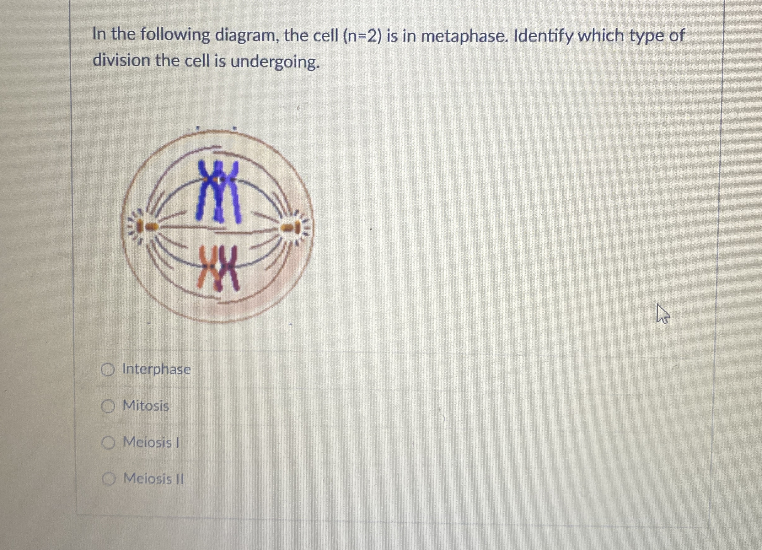 In the following diagram, the cell ) = ( 2 is in