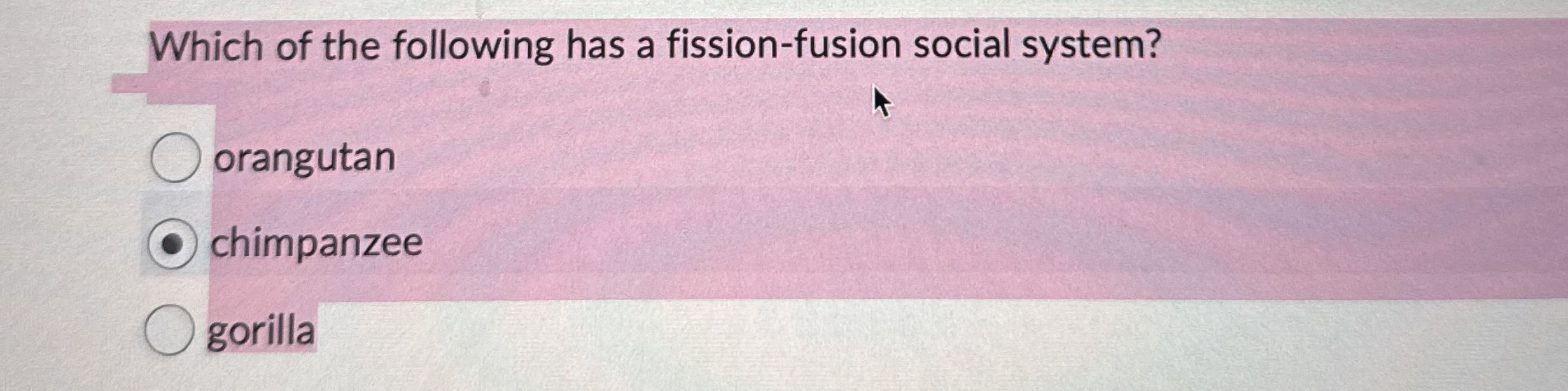 Which of the following has a fission - fusion