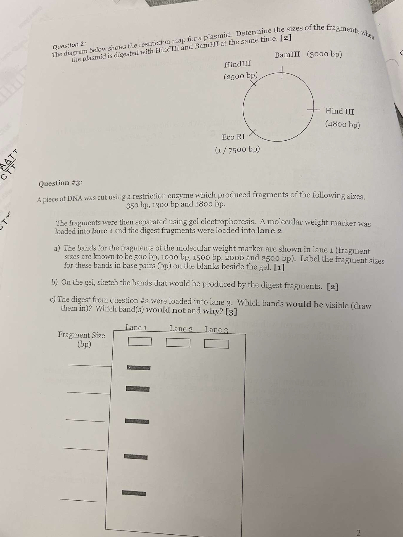 Question 2 : The diagram below shows the