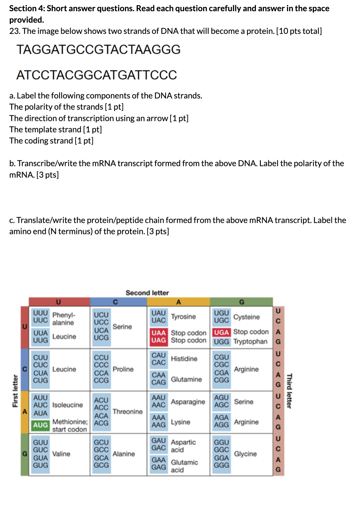 Section 4 : Short answer questions. Read each