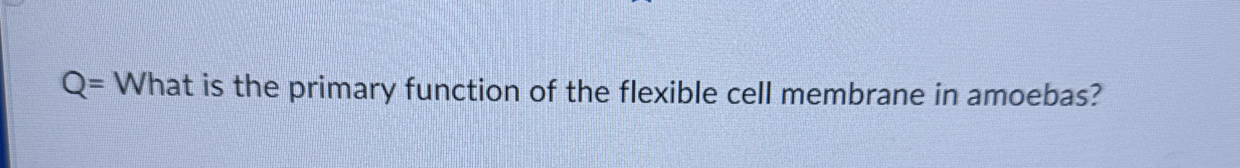 Q = What is the primary function of the flexible