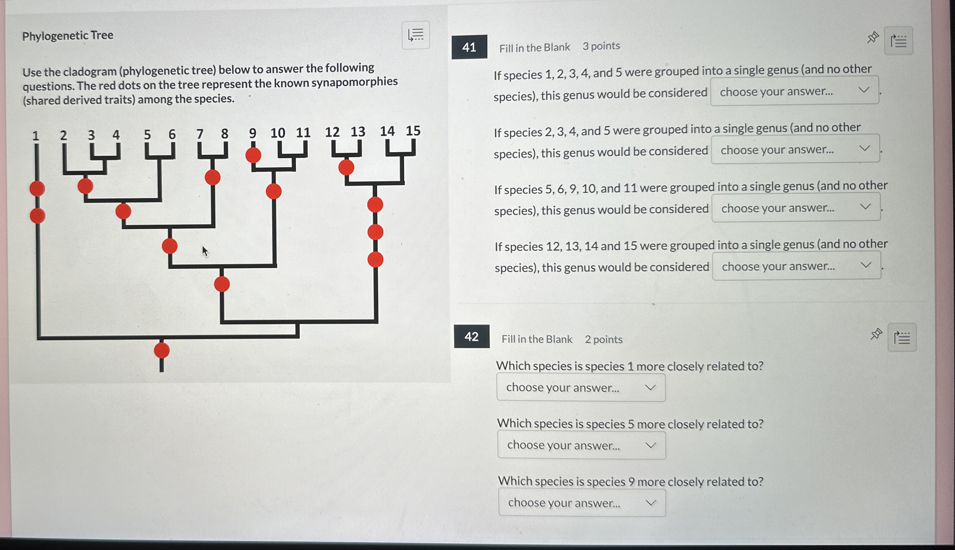 Phylogenetic Tree Use the cladogram (