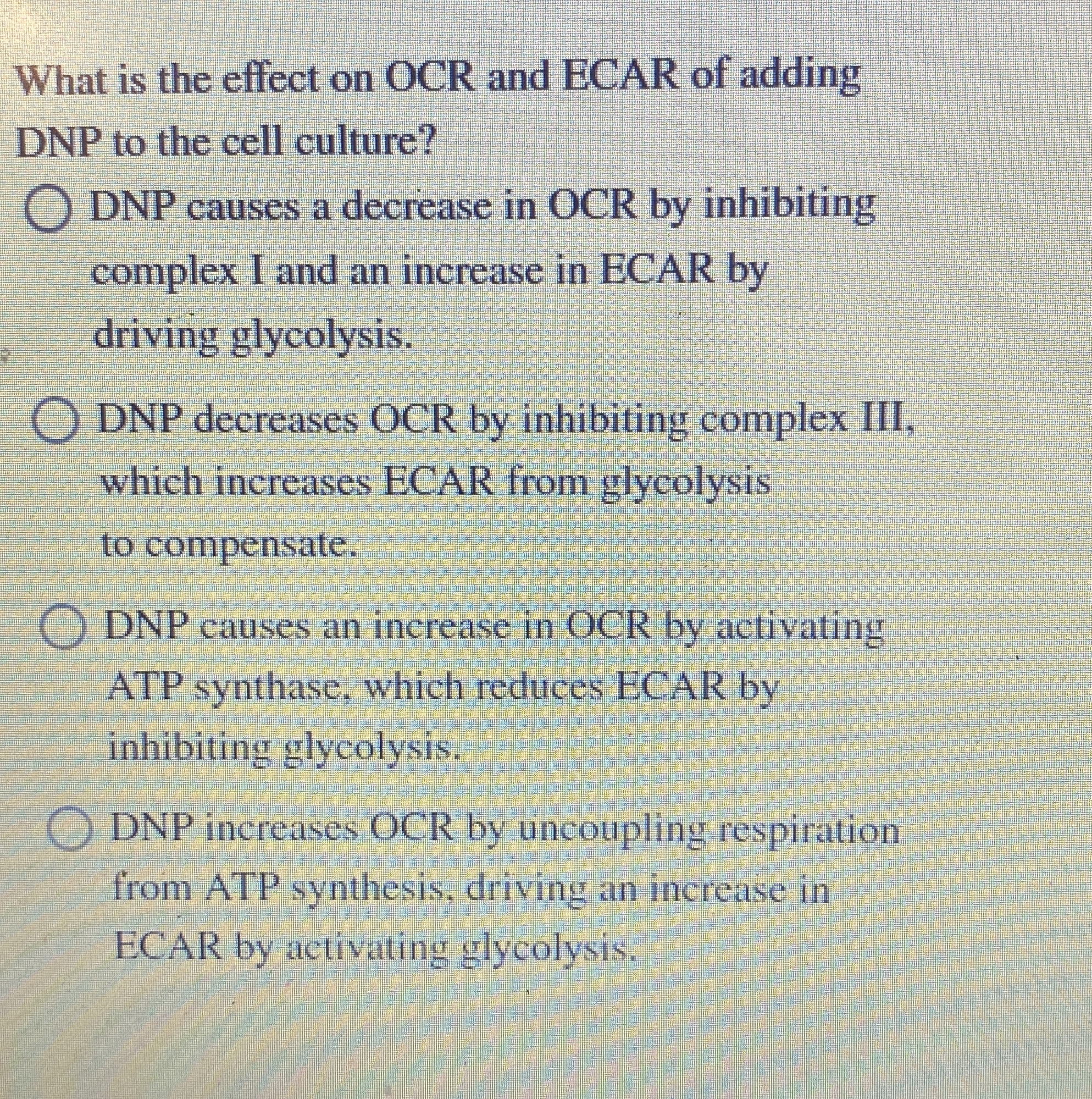 What is the effect on OCR and ECAR of adding DNP