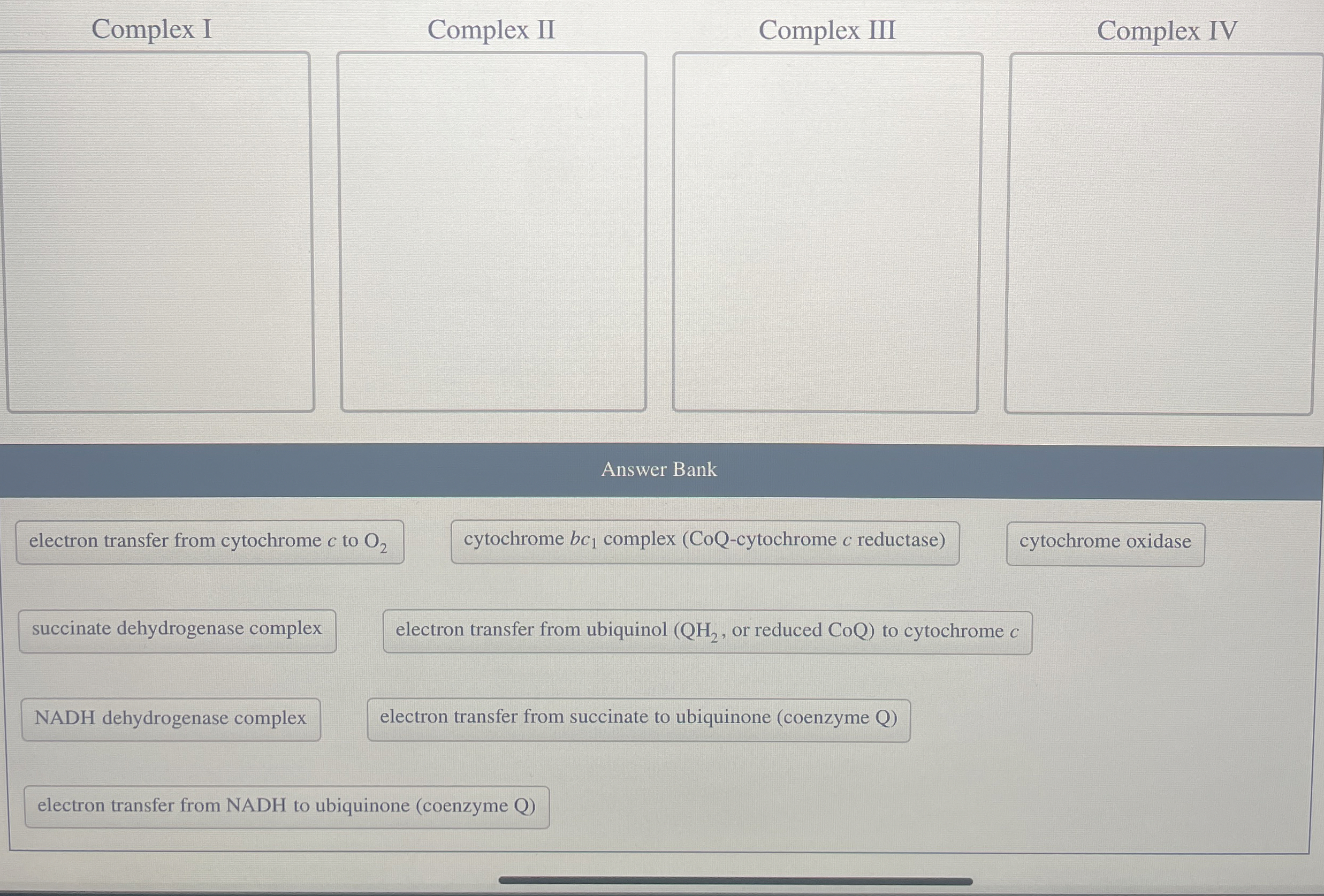 Complex I Complex II Complex III Complex IV