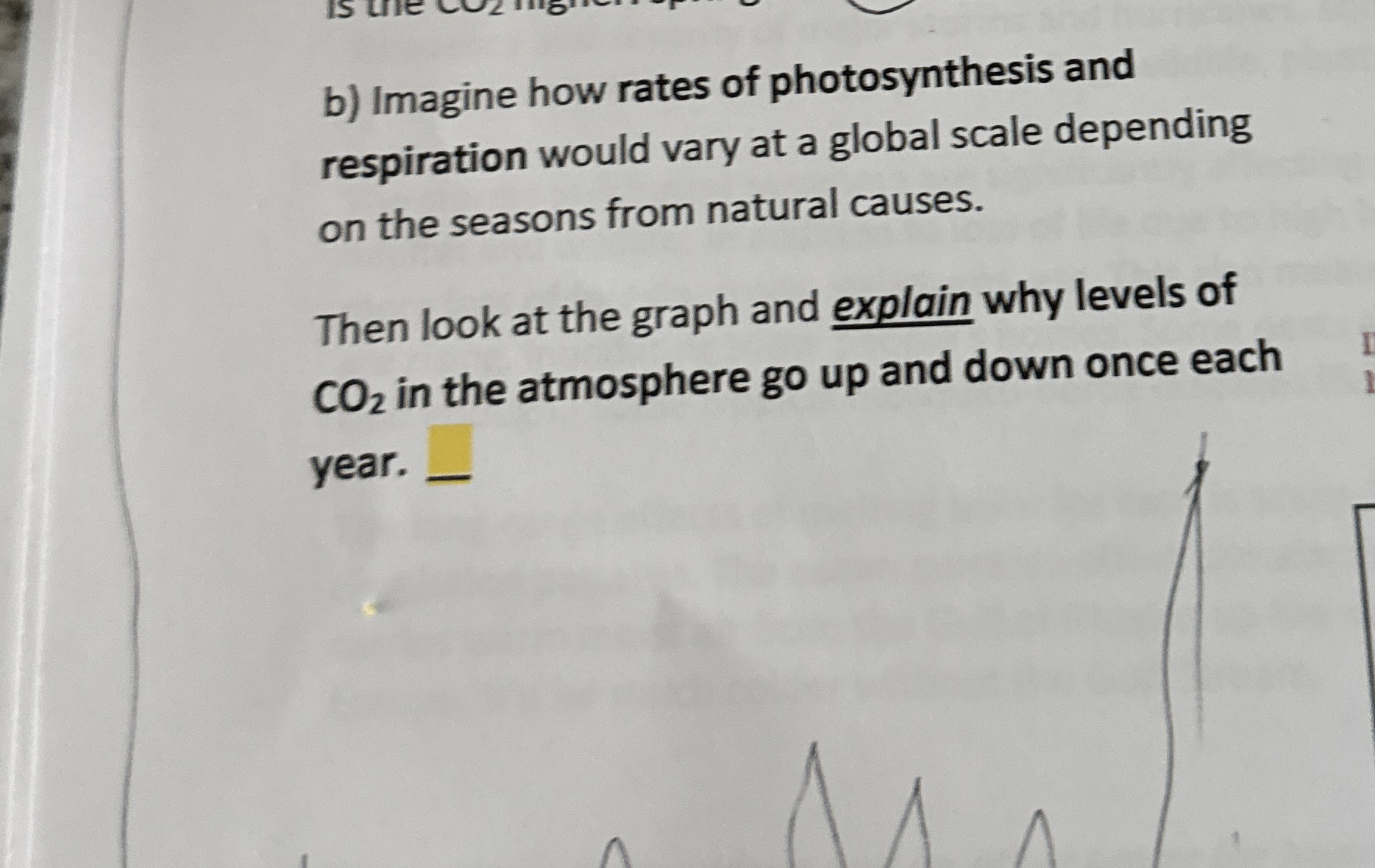 b ) Imagine how rates of photosynthesis and