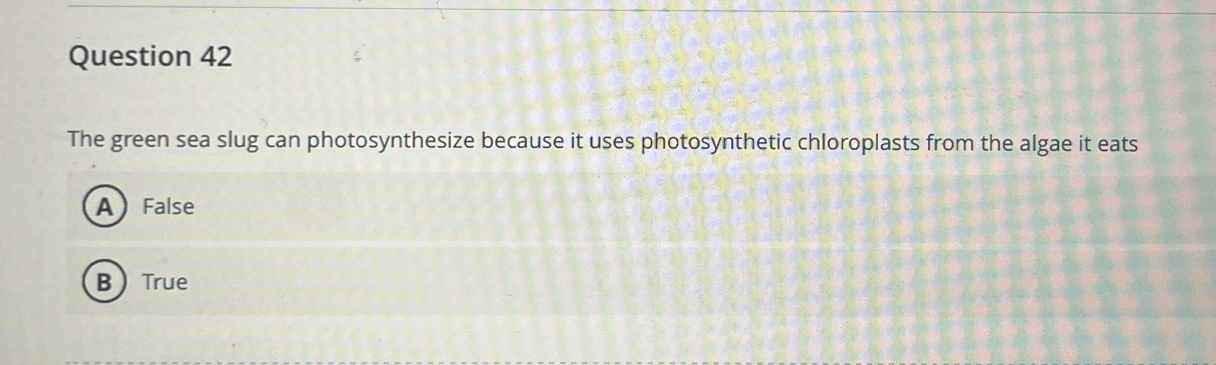 Question 4 2 The green sea slug can