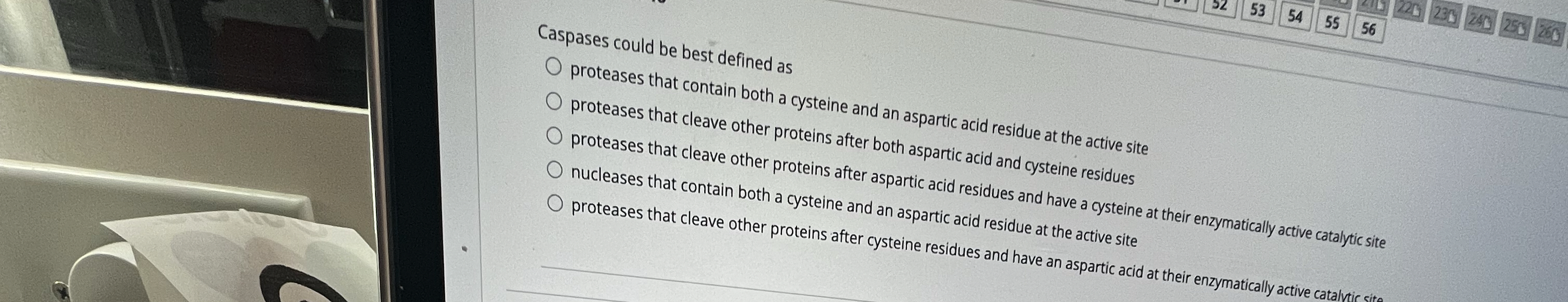 Caspases could be best defined as proteases that
