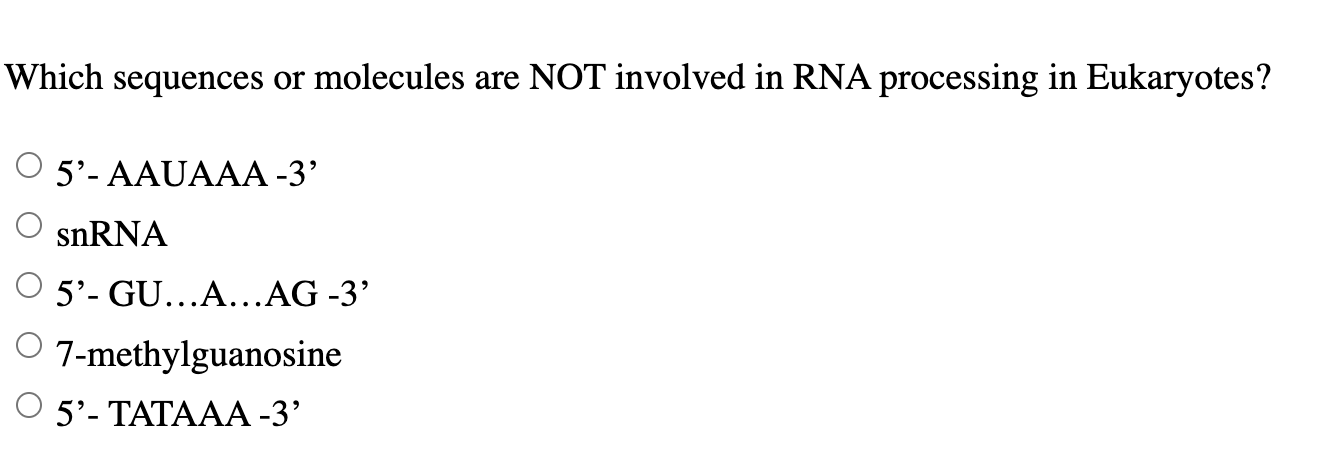 Which sequences or molecules are NOT involved in