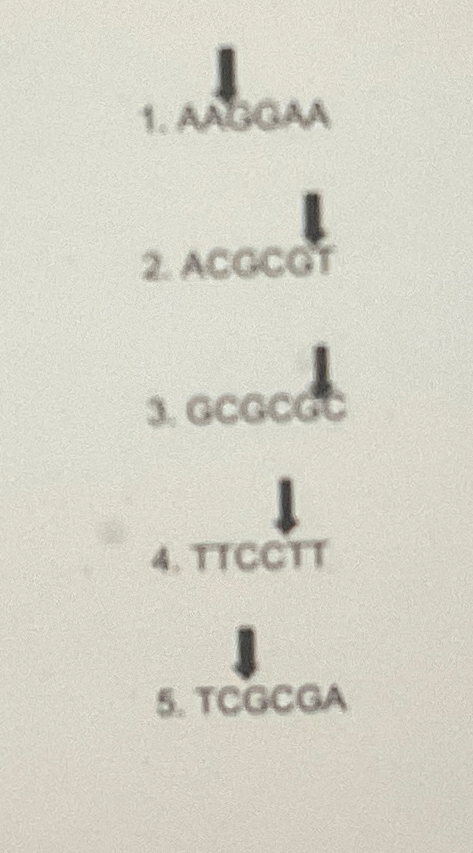 AbBaA AcGcot acacat T TCGCGA Which restriction