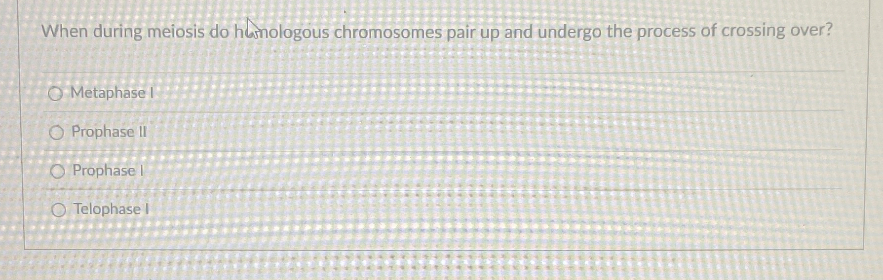 When during meiosis do hamologous chromosomes