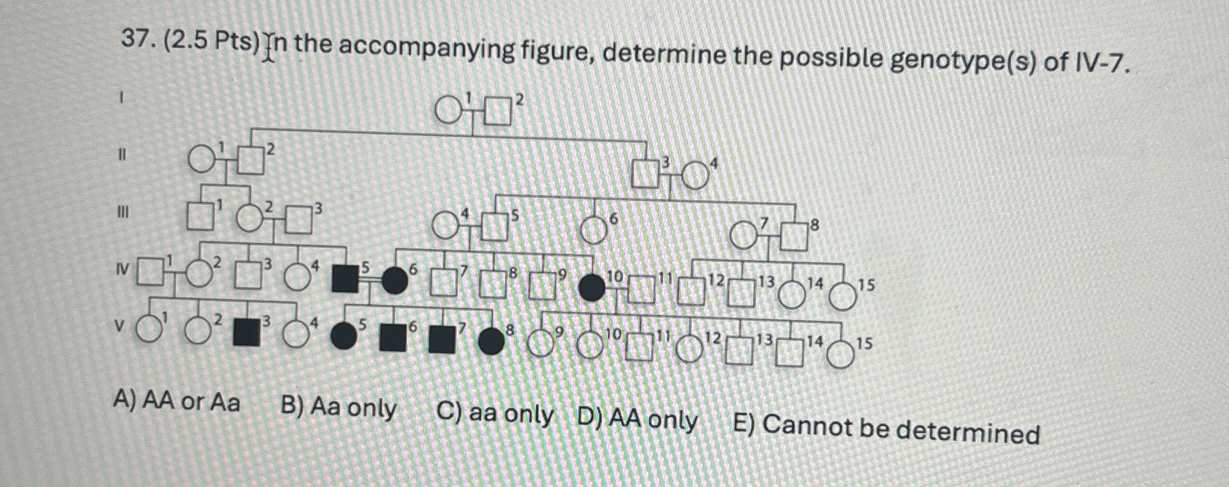 Whats the answer ( 2 . 5 Pts ) fn the