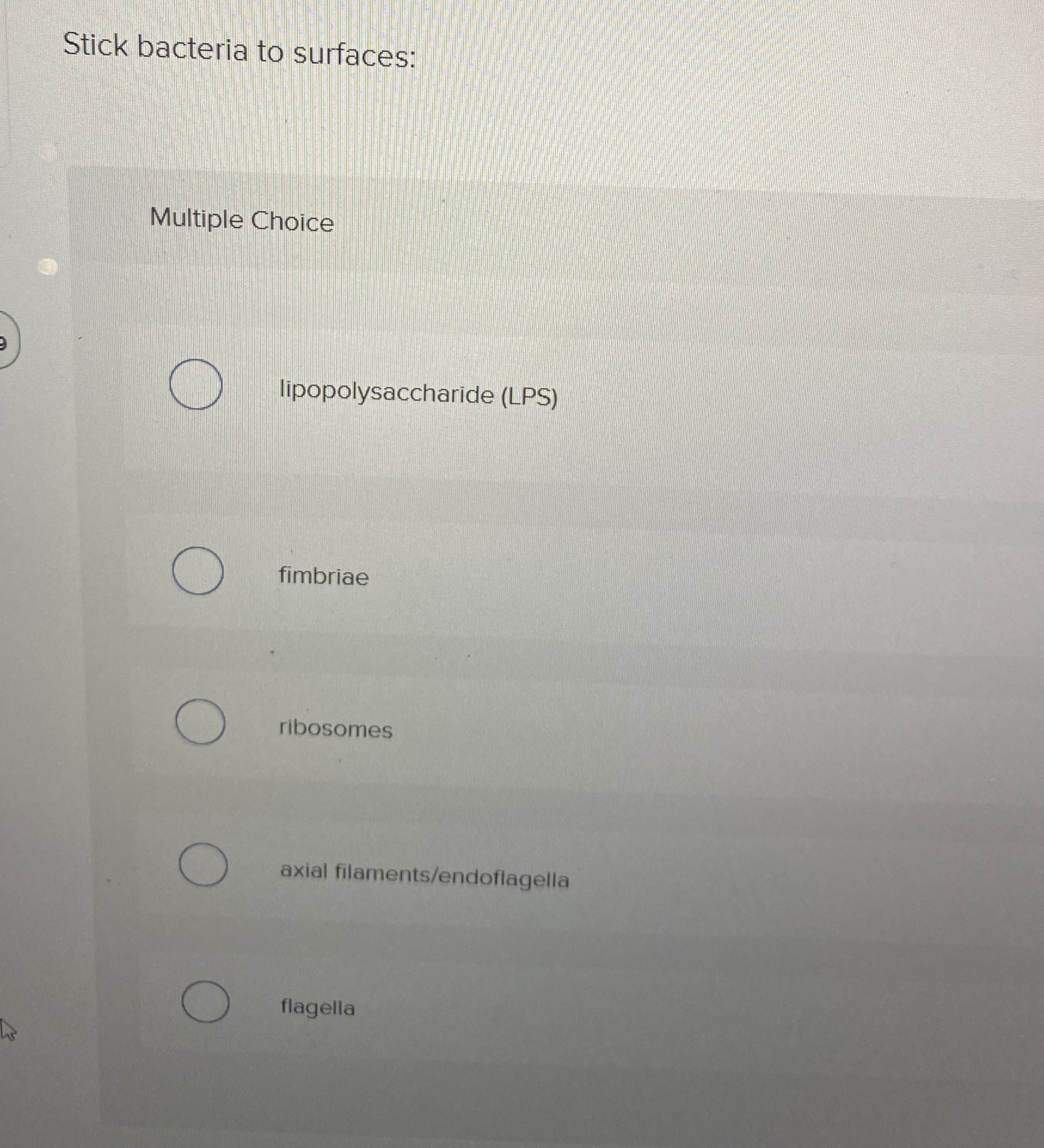 Stick bacteria to surfaces: Multiple Choice