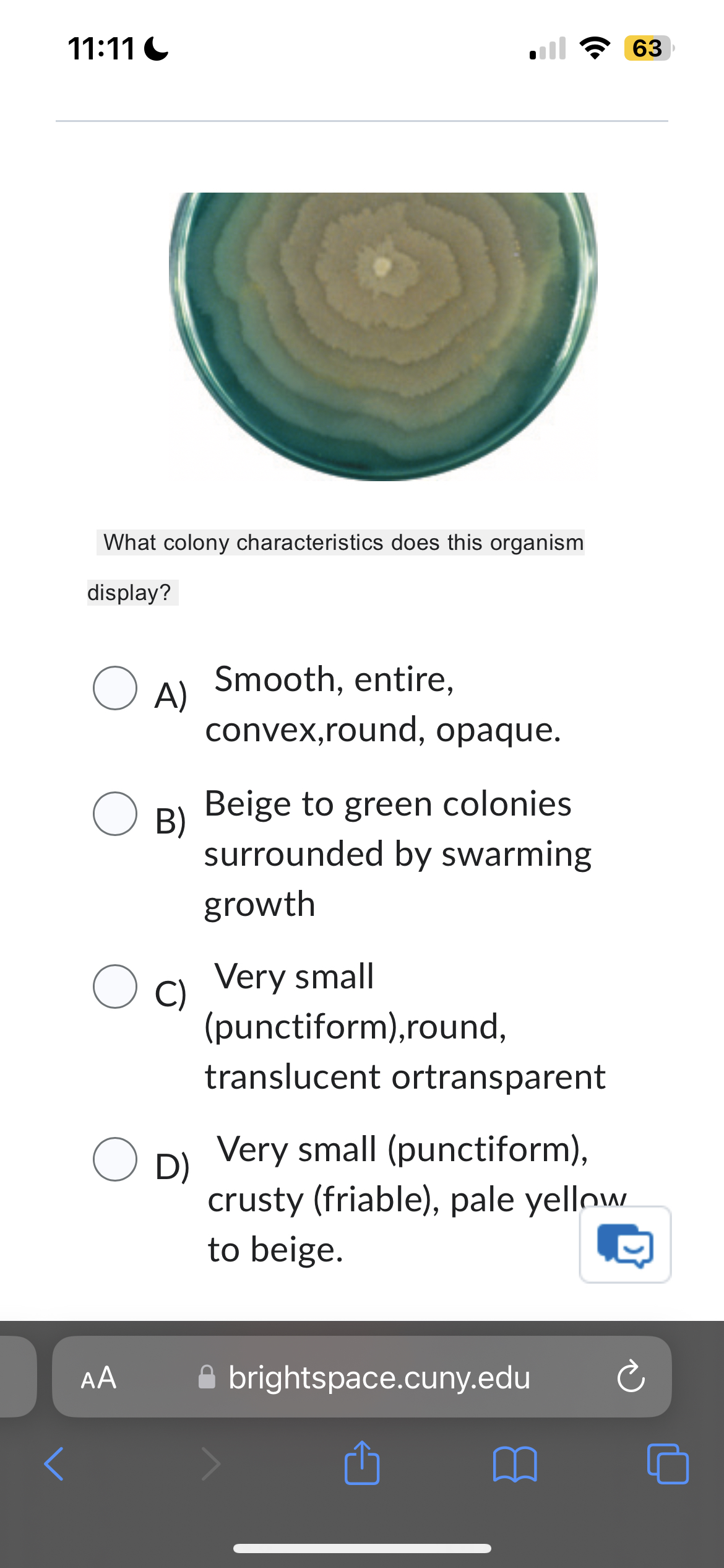 1 1 : 1 1 C 6 3 What colony characteristics does