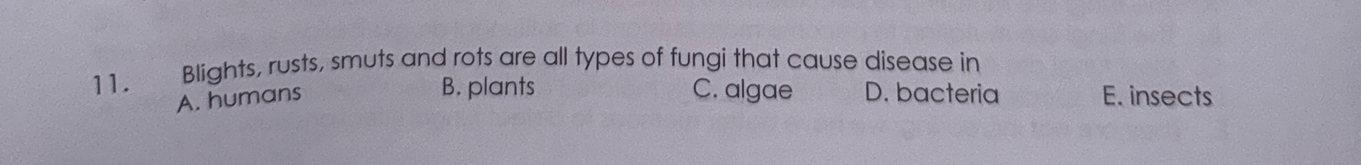 Blights, rusts, smuts and rots are all types of