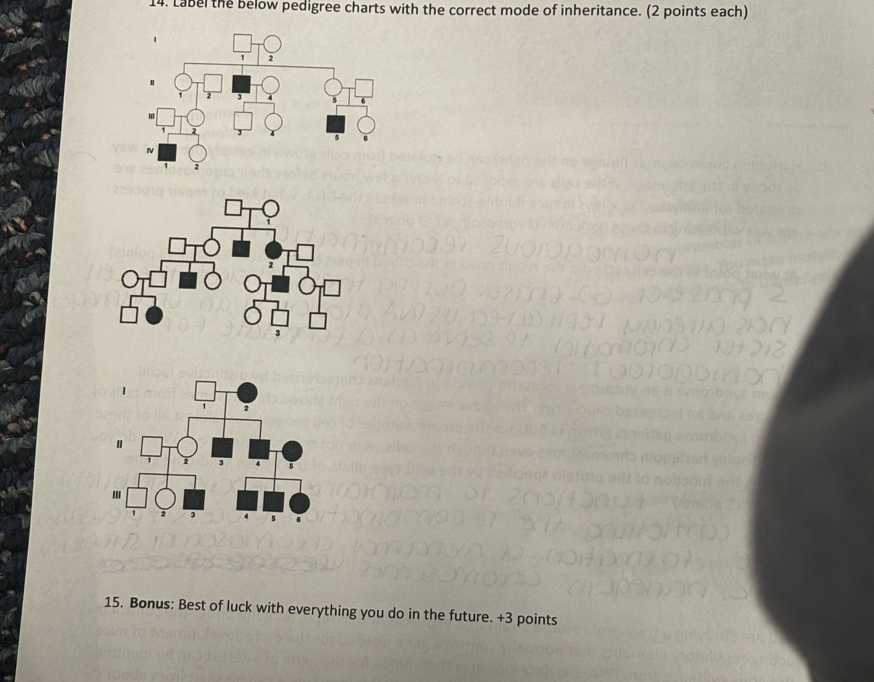 Ladel the below pedigree charts with the correct