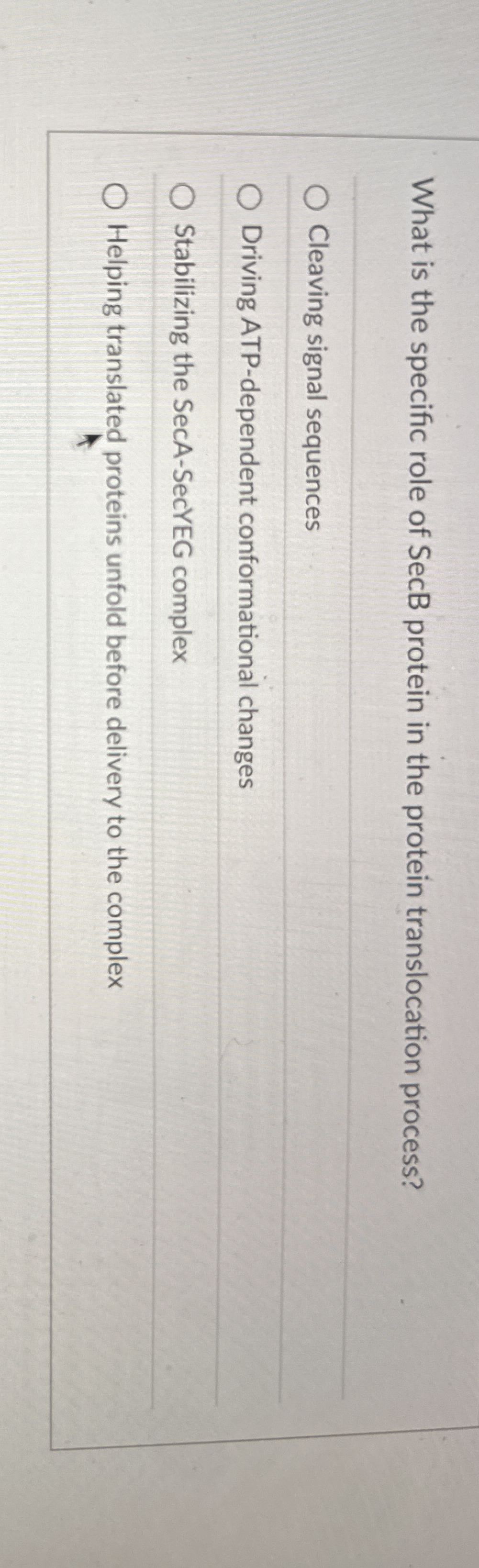 What is the specific role of SecB protein in the