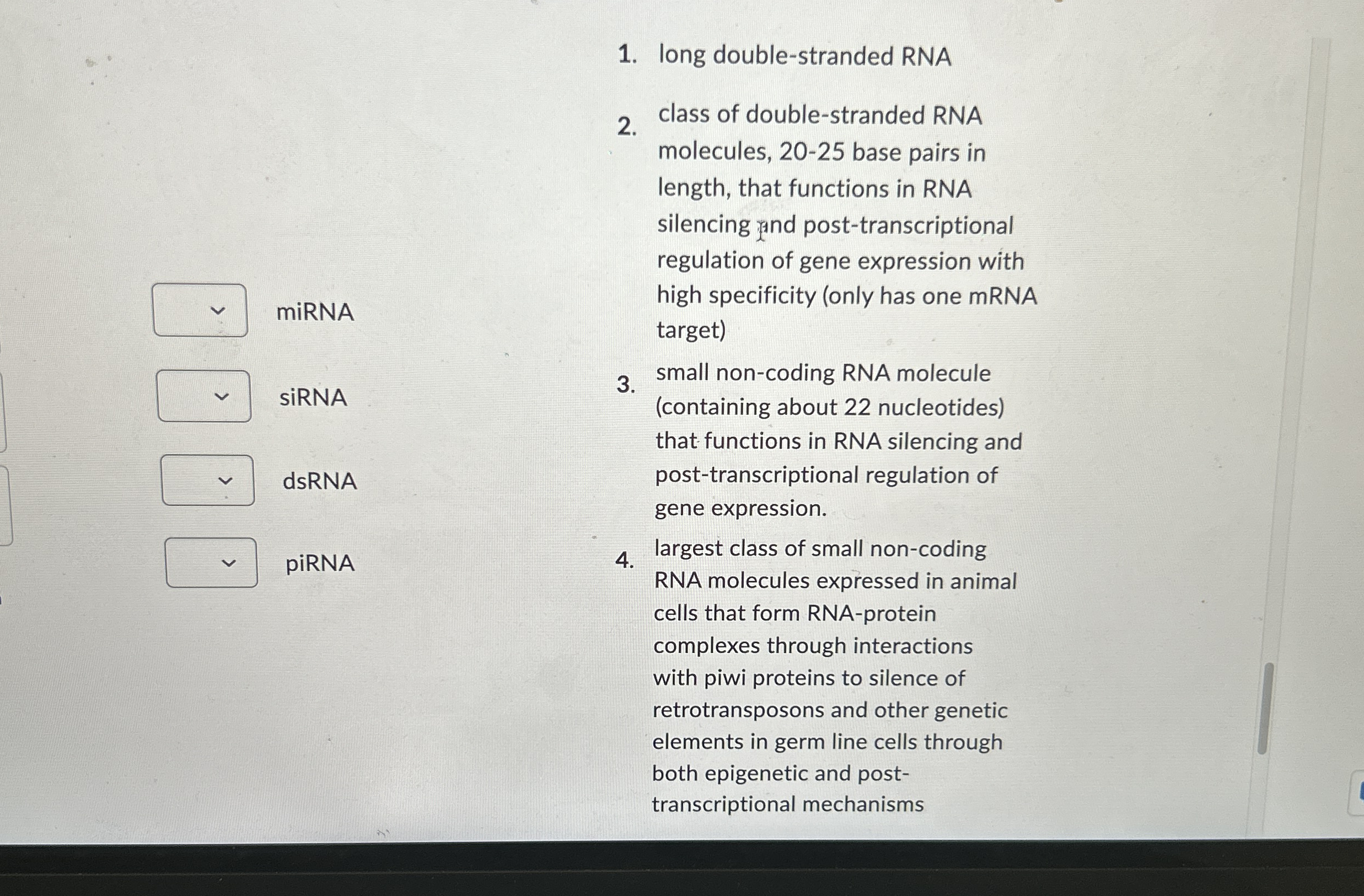 long double - stranded RNA class of double -
