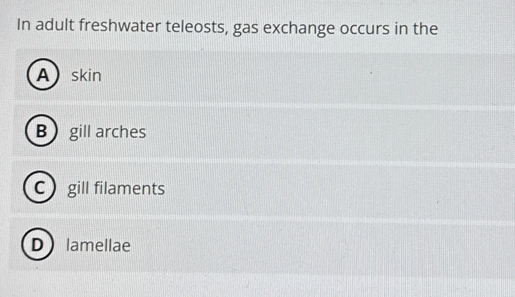 In adult freshwater teleosts, gas exchange occurs