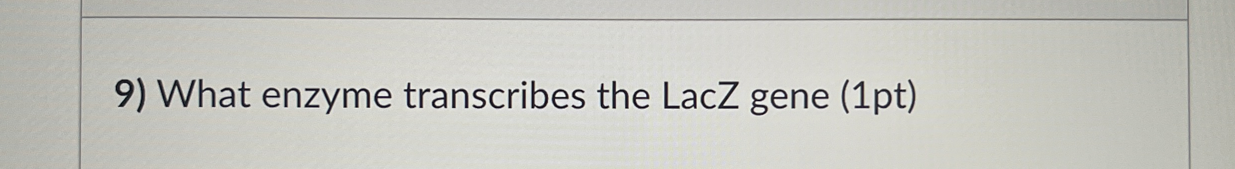 What enzyme transcribes the LacZ gene ( 1 pt )