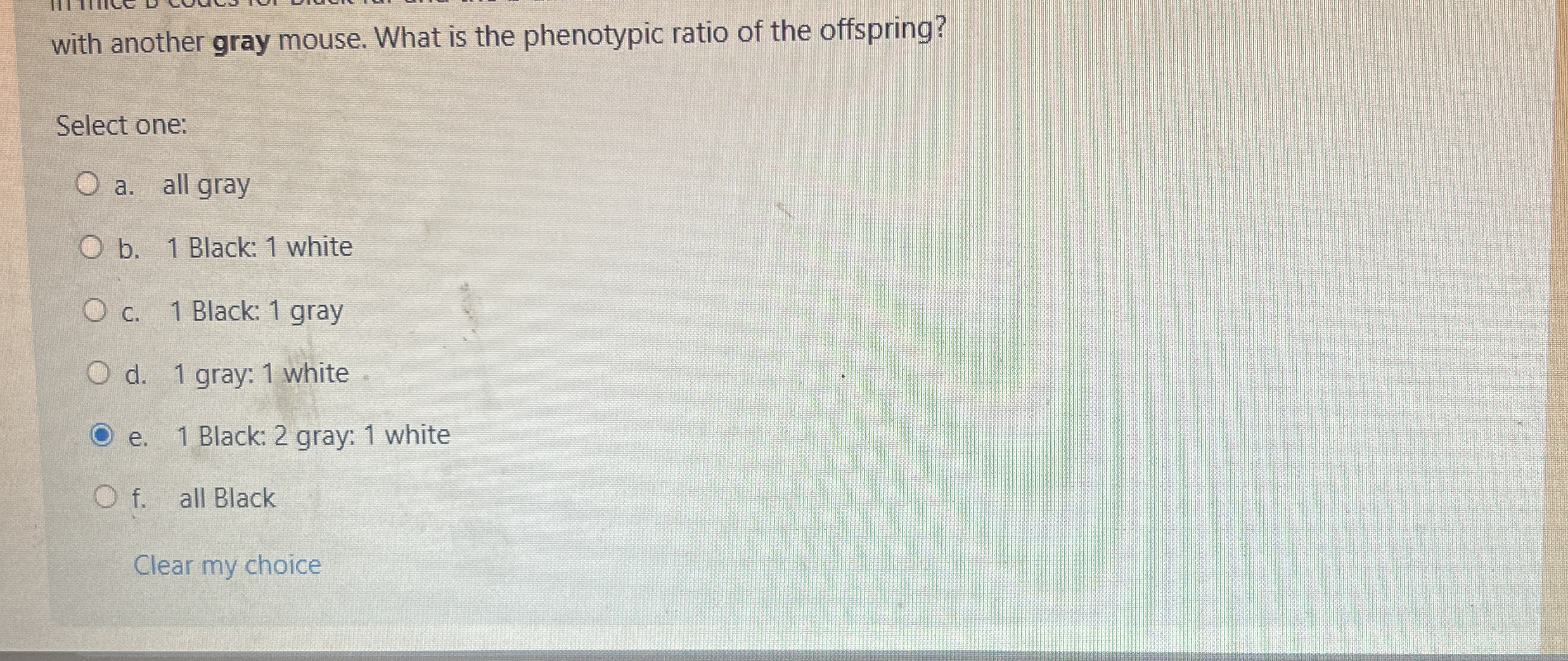 with another gray mouse. What is the phenotypic