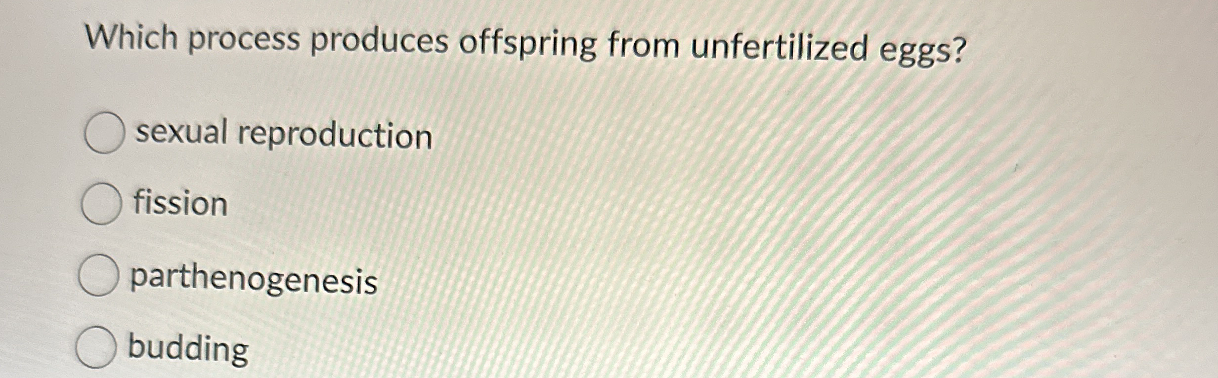 Which process produces offspring from