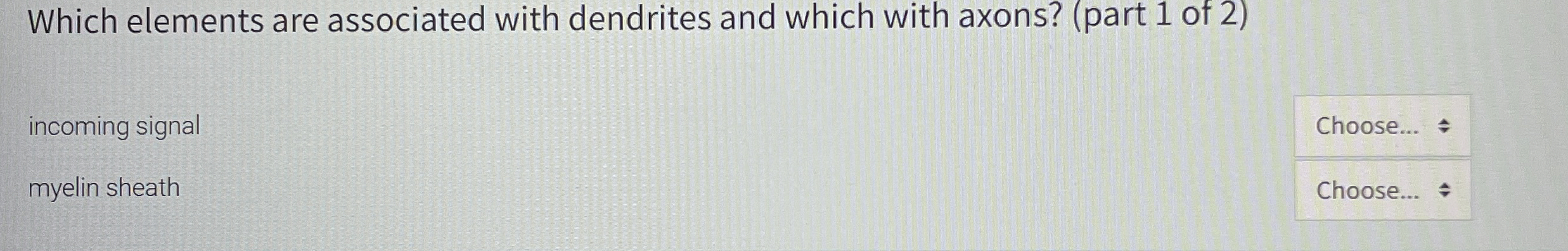 Which elements are associated with dendrites and