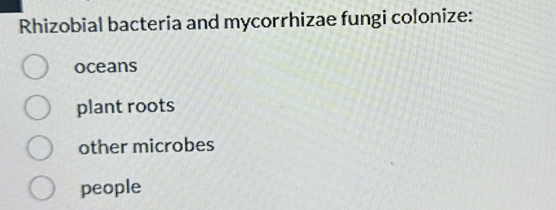 Rhizobial bacteria and mycorrhizae fungi